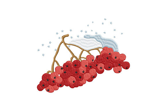 Winter Rowan Berries: A Festive Touch for Gifts
